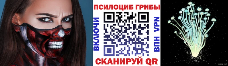Псилоцибиновые грибы Cubensis  закладки  Абаза 